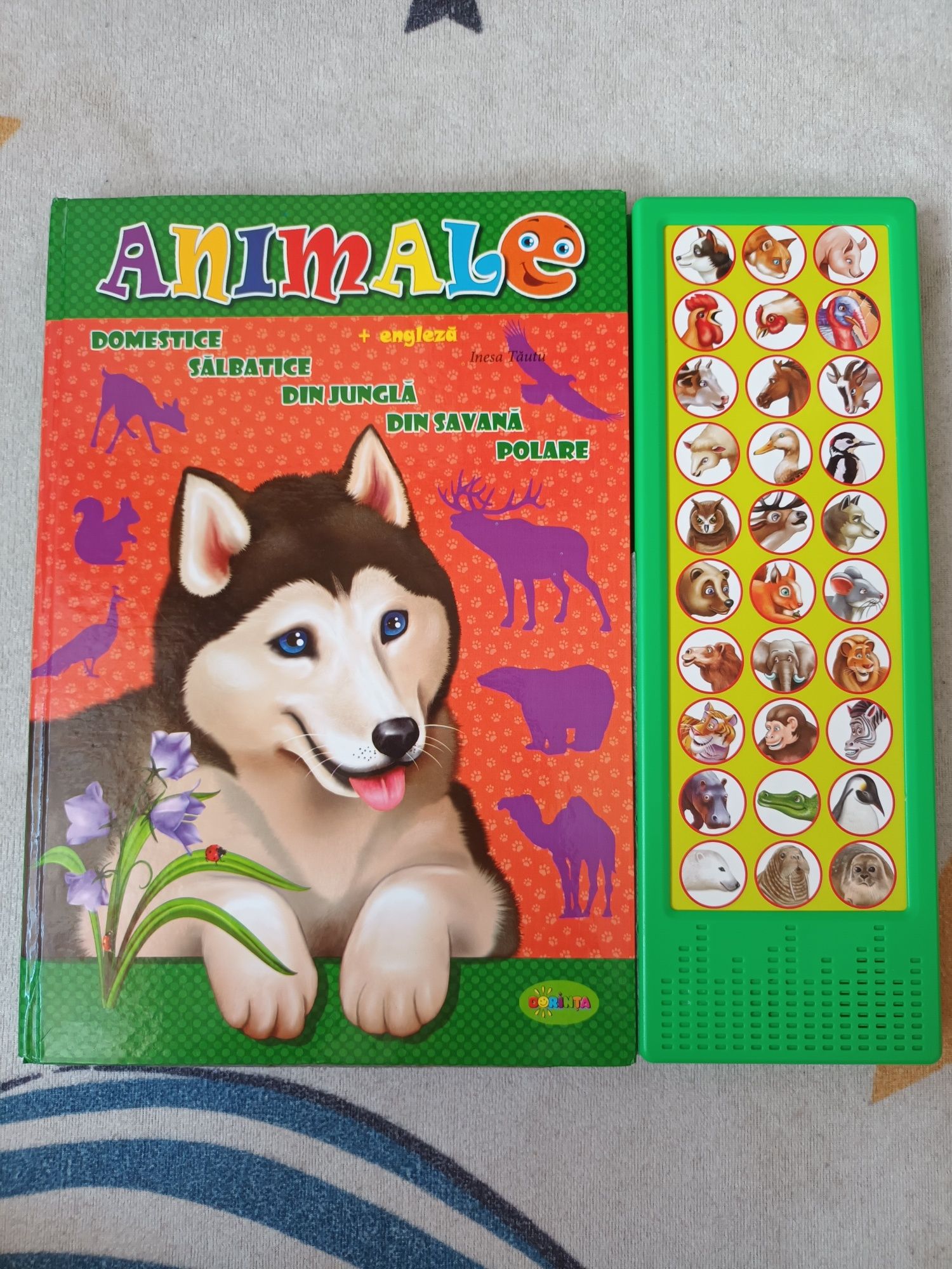Animale in engleza, carte cu sunete, copii