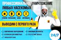 Дезинфекция/ Уничтожение клопов/тараканов/клещей/грызунов Дизенфекция