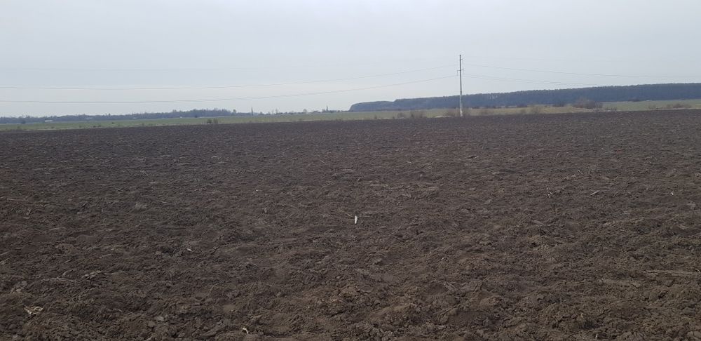 Teren de vanzare Soseaua Bucuresti - Magurele str malinului
