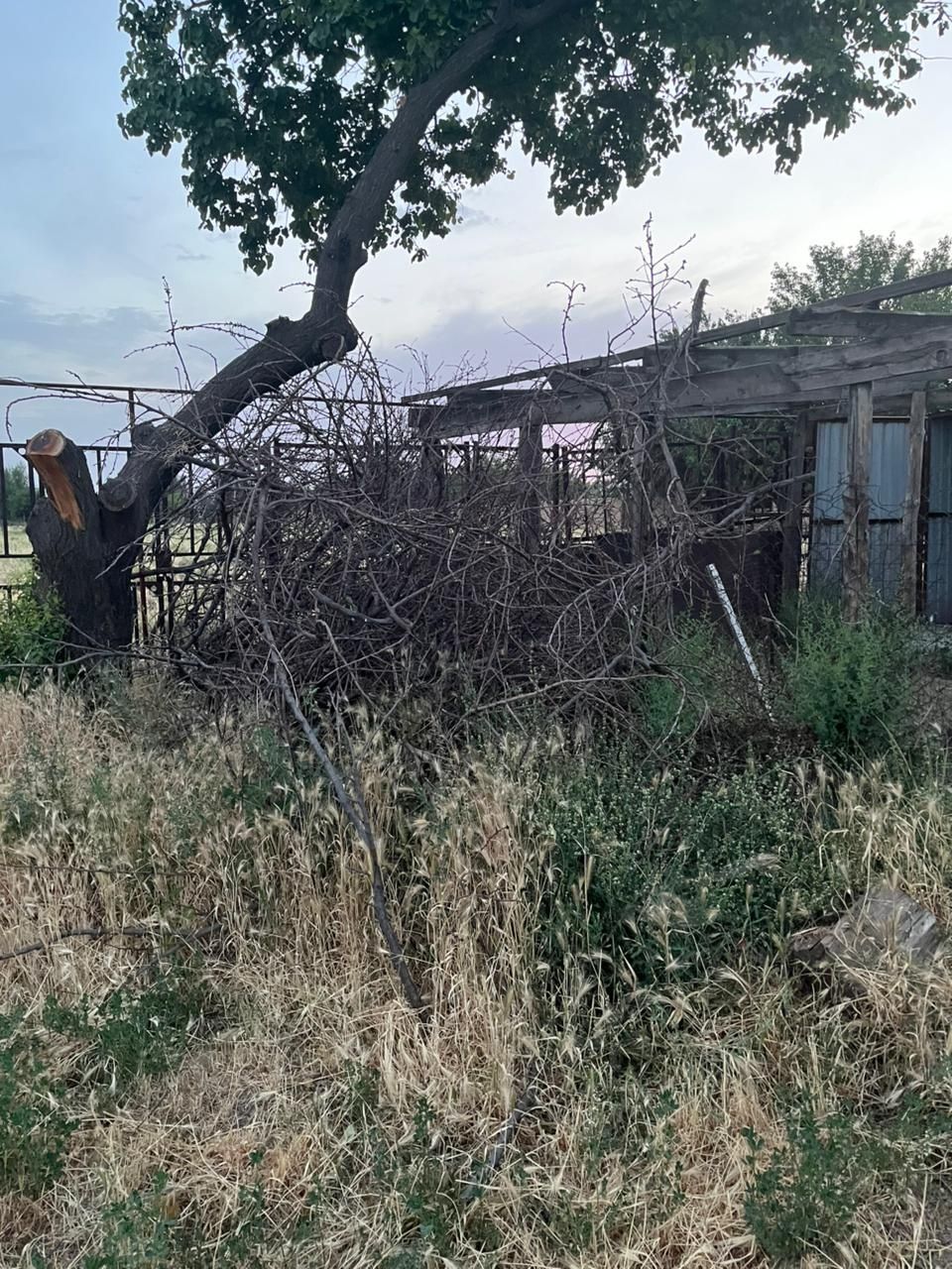 Отын сатылады/Продается дрова