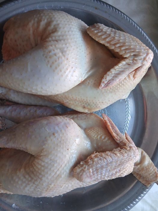 Продам  тушки домашних молодых кучей.