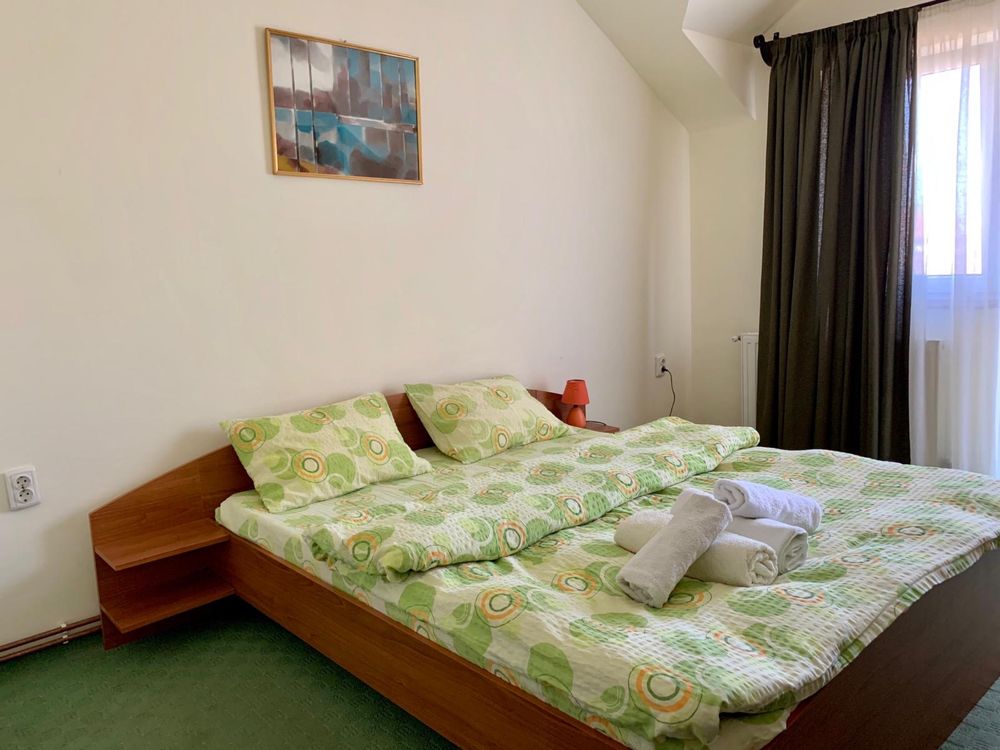 Vand pensiune in functiune in Tasnad