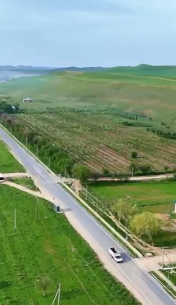 Плодовый сад 6,3 га + дом. Горячее предложение!