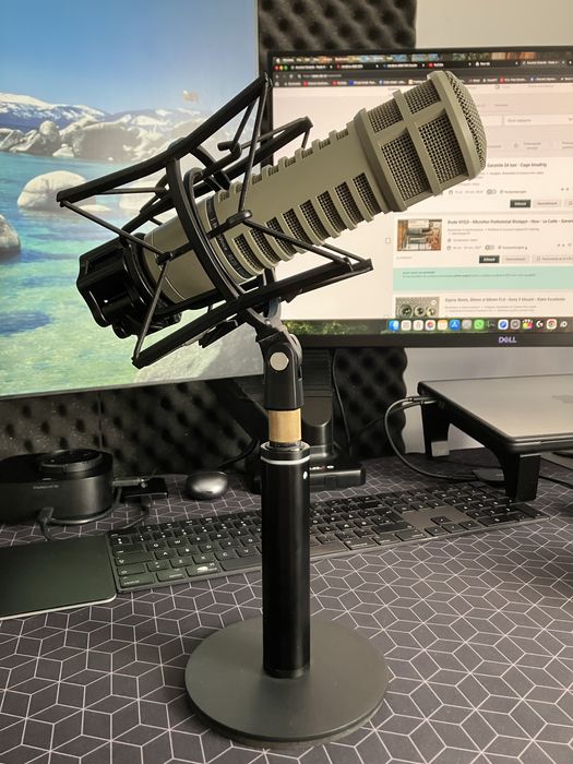 Microfon dinamic profesional Electro-Voice RE20 - Ca Nou - Shockmount