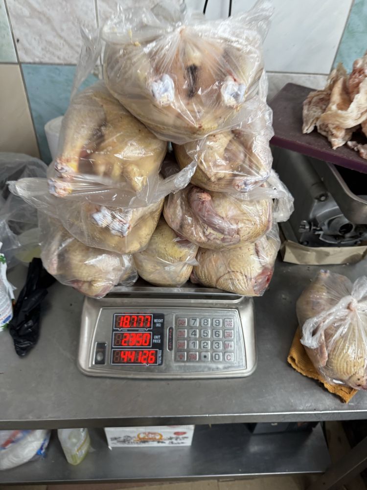 Продам мясо и яйца