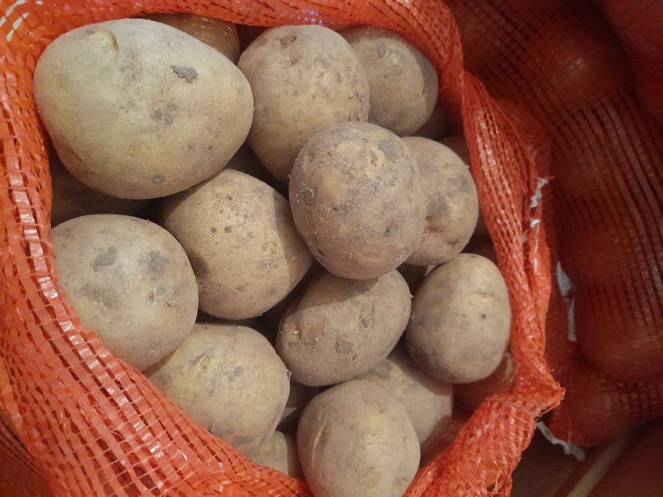Картошка домашняя