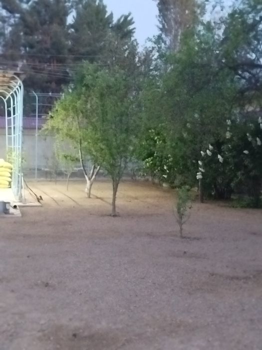 Идеальный газон для вашего двора свежий густой зелёный от 16 до 65 тыс