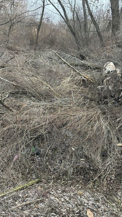 Отдам даром на дрова самовывоз