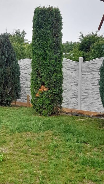 Gard beton stalpi placi palari pervazuri beton