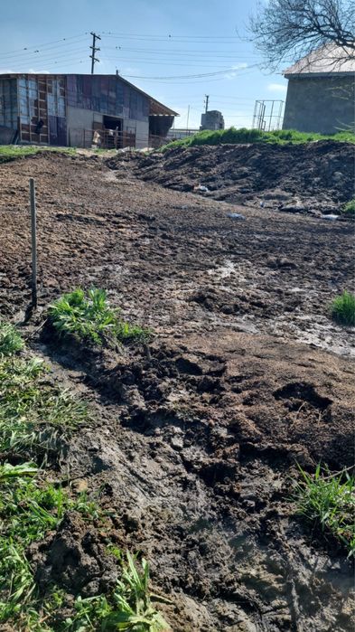 Навоз коровье