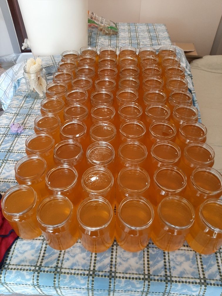 Продавам Пчелен Мед