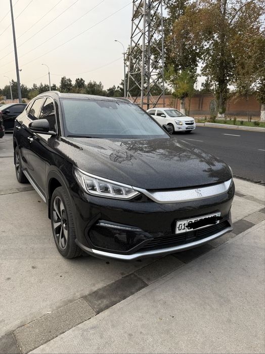 Byd song pulus  2023 yil full