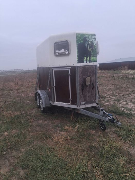 Vand remorca de cai modelul xxl