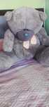 Ayiq teddy sotiladi