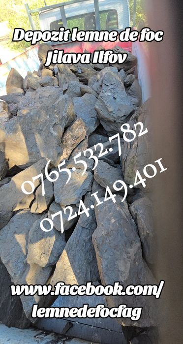 Lemne de foc , fag, carpen, stejar . Taiate la orice dimensiune.