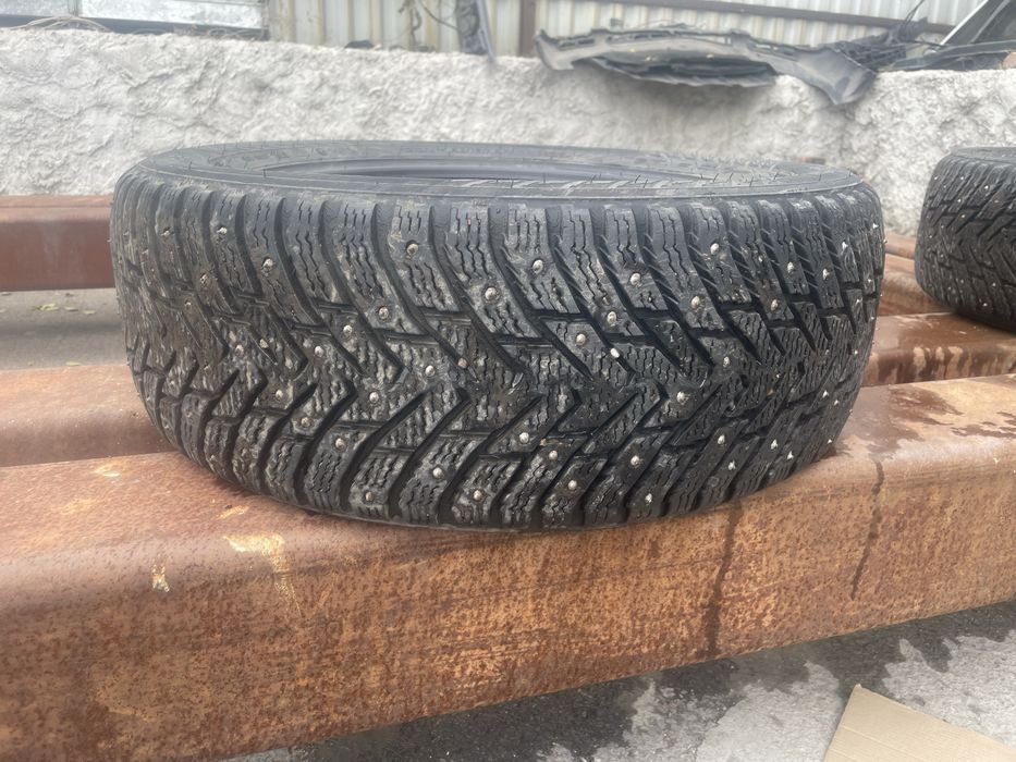 Nokian Hakkapeliitta