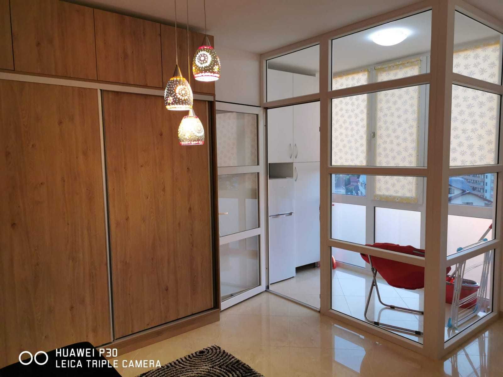 Apartament 1 camera Visoianu