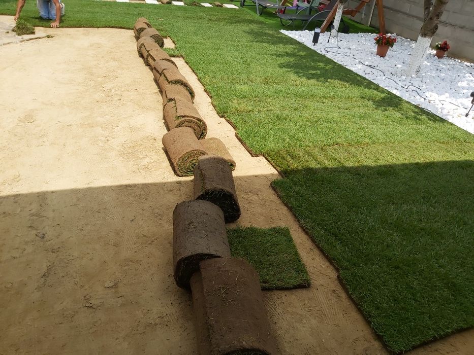 Însămănțat montat gazon, curte grădină montat sistem de irigat