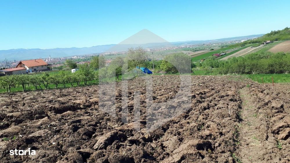 Teren de Vanzare - Gusterita - 5100mp - Intravilan - 0% Comision