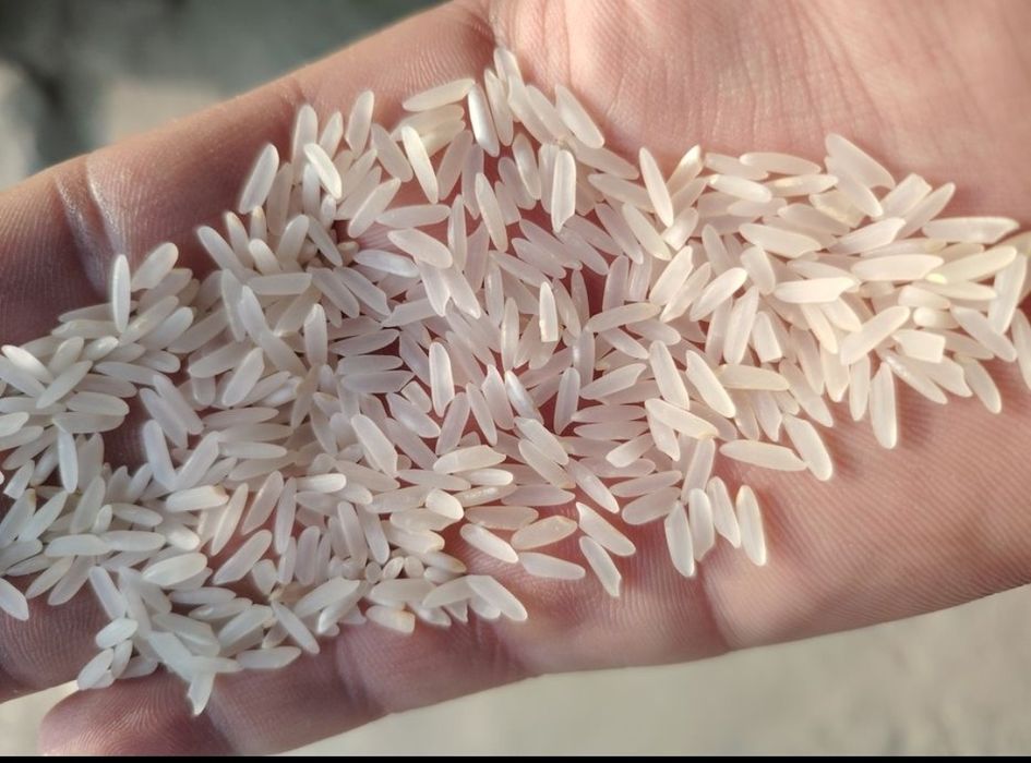 Күріш Лазер бар! Оптом — 750 теңгеден.
Высший сорт, сапаға гарантия.
Д