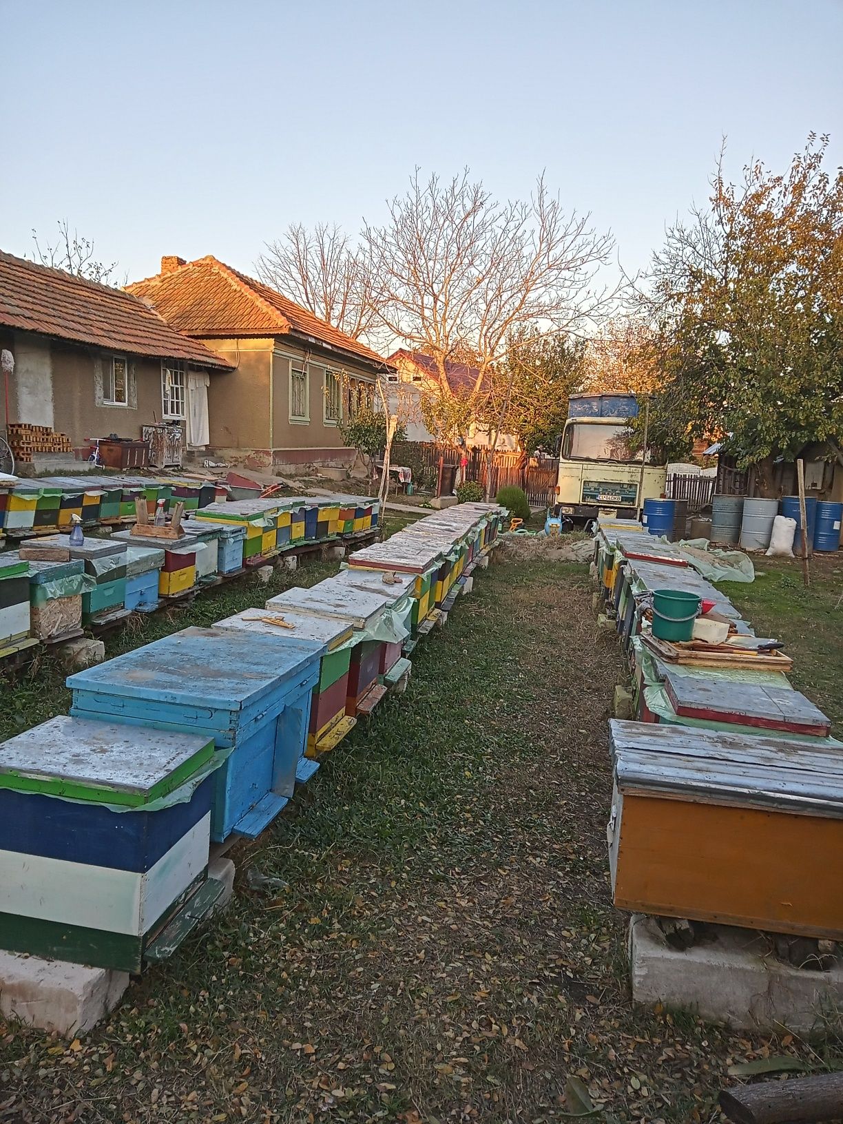 Vând miere naturala de albine
