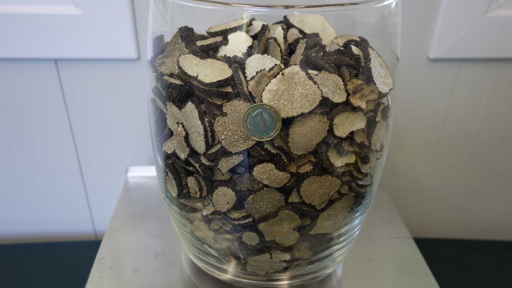 Лиофилизиран летен черен трюфел