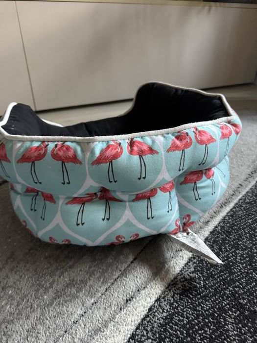 Patut caine sau pisica