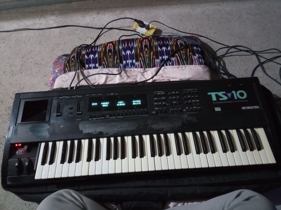 Ensoniq ts10 flesh bor