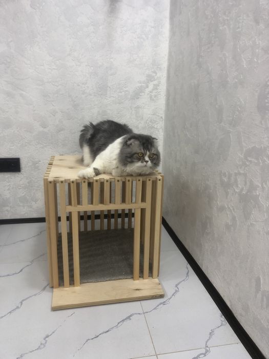 Комнатный домик для собачки.