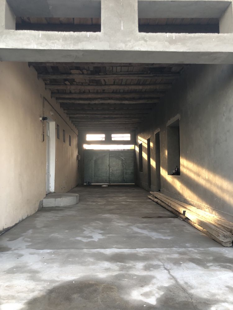 Kotej yangi 6 sotix