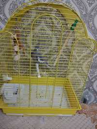Продам попугая Корелло с клеткой