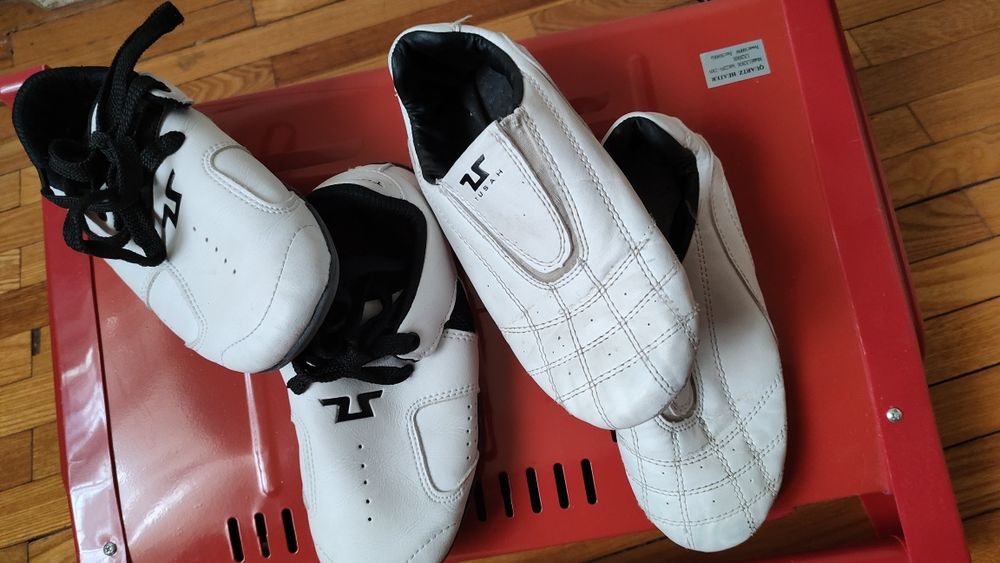 Чешки для таеквондо