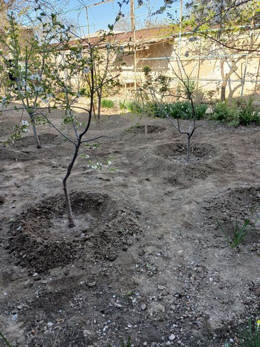 Yer sotiladi Chirchiq sh.