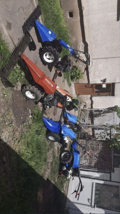 Bcs ferrari bertolini grillo