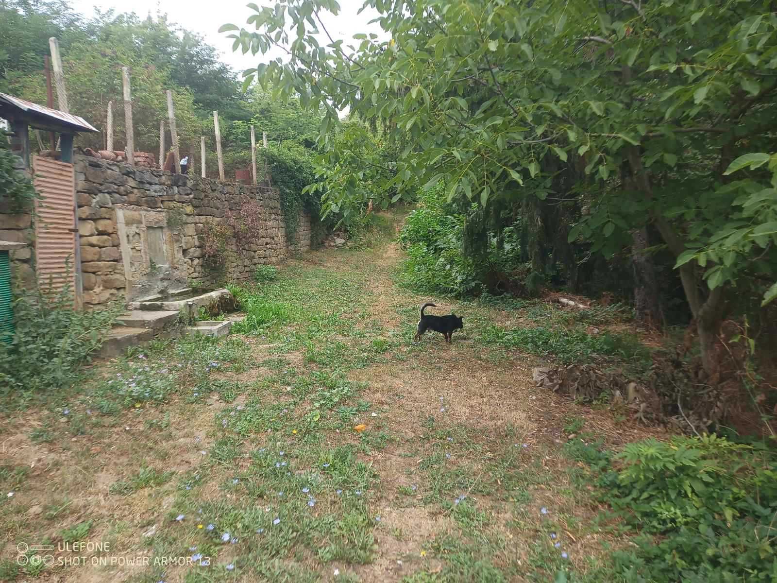 продавам къща в село Радювене