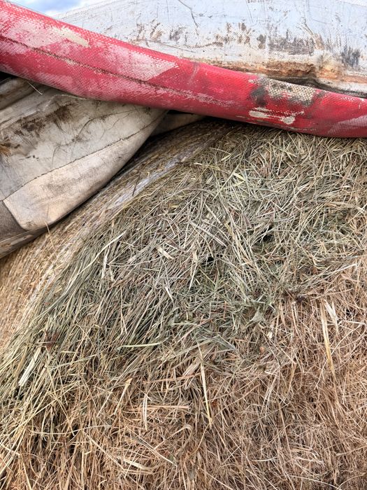 Vând baloți de otava 140/140 si fân 120/120