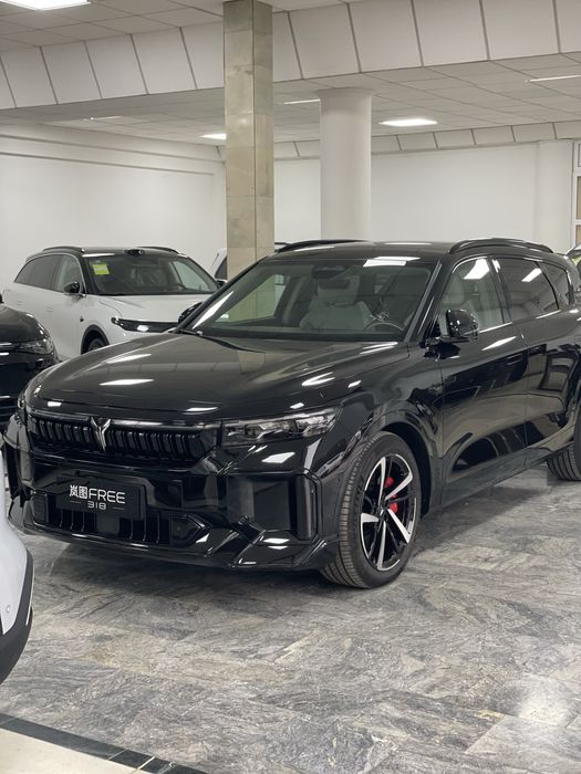 Voyah free apollo tech 318 full