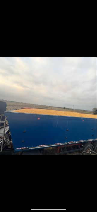 Vand Porumb ( Graunte )2025