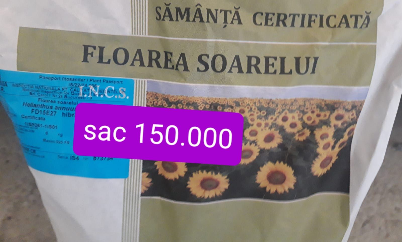 Samanta Porumb MAGNUS ,Floarea Soarelui FD15E27,Samanta Lucerna Certif