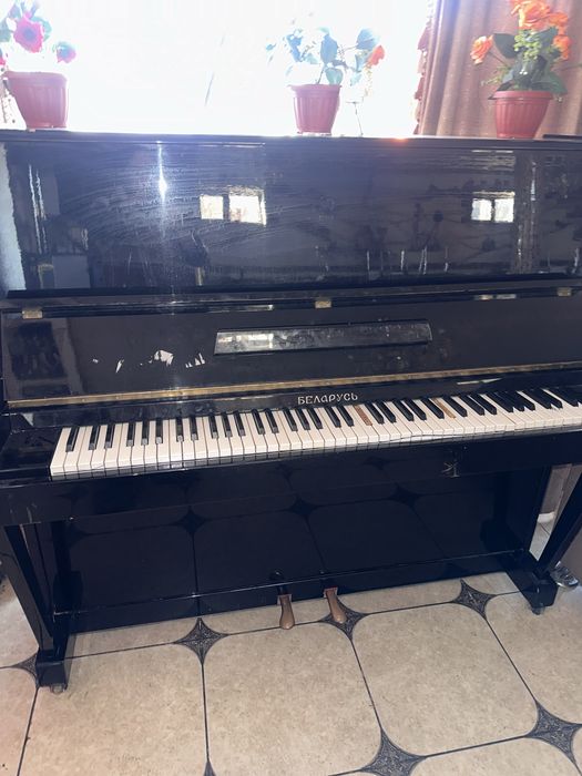 Пипнино в отлтчном состояние