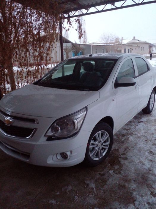 Cobalt 2022 краска таза