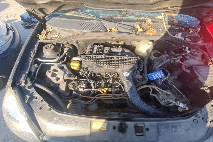 Motor fara anexe Renault Clio a 2-a generatie (facelift)