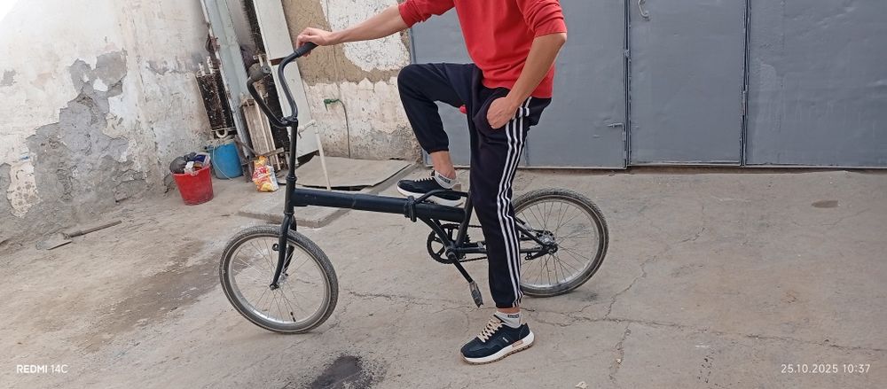 Велик сотилади джизах