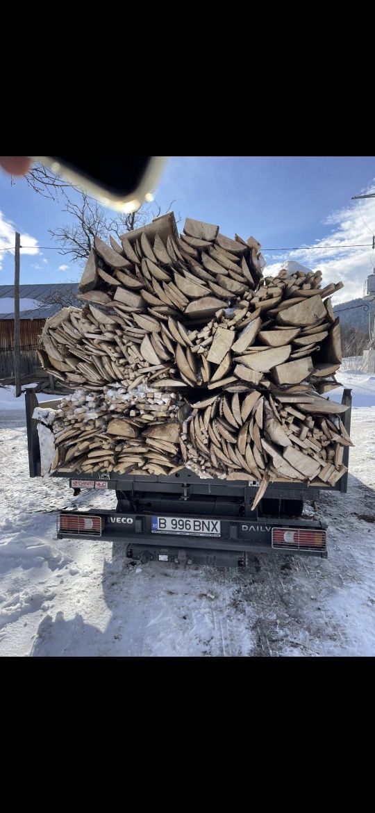 CHERESTEA , GRINZI, scândură,  Producator