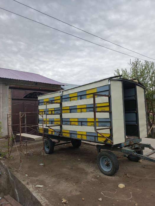 Asalari Pavilioni 72 ta oilaga mo'ljallangan.