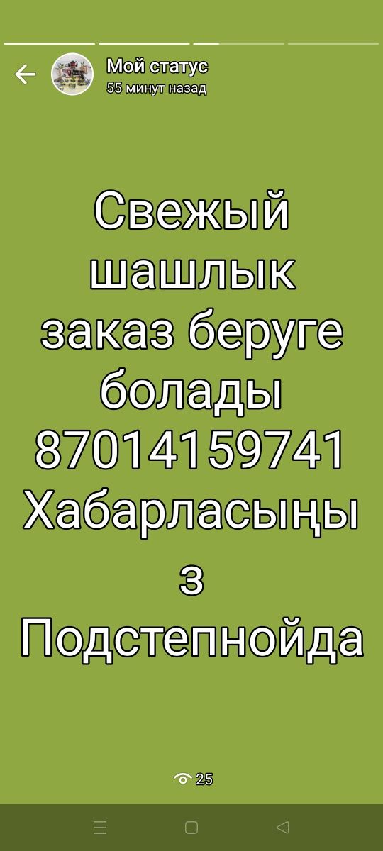 Маринованные шашлык из курицы от Алел Агро продукт халяль тауық етінен