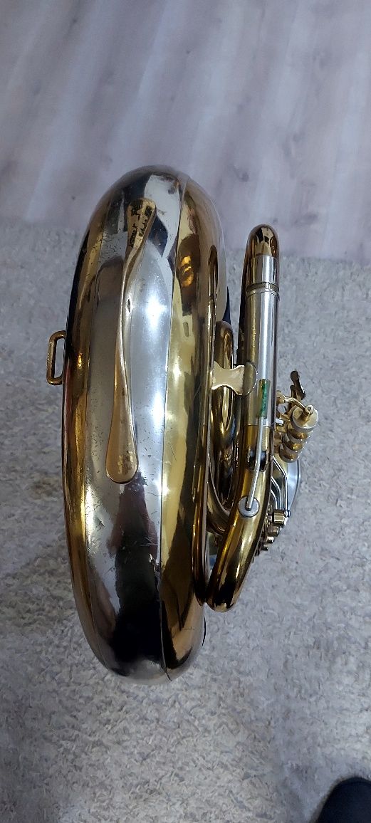 Tuba , Bas fanfara , trompeta , bass