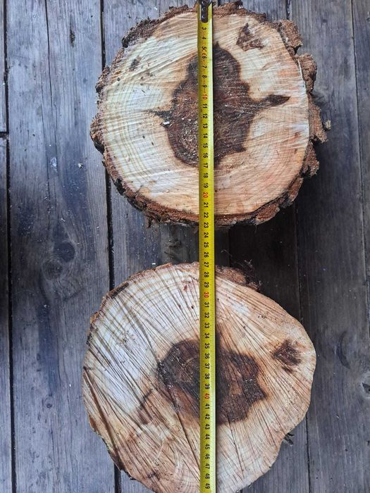 Rondele lemn, diverse mărimi / diverse specii / handmade / Natural