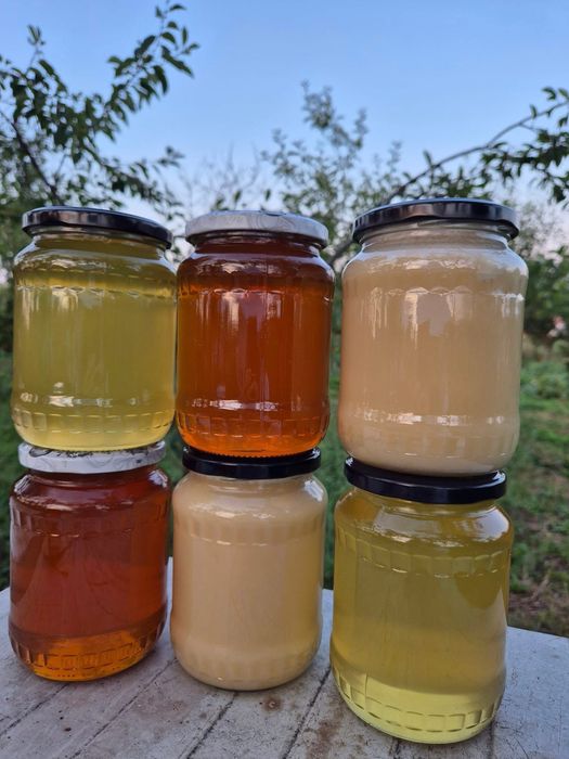 Vand miere de albine Bio, transport gratuit!