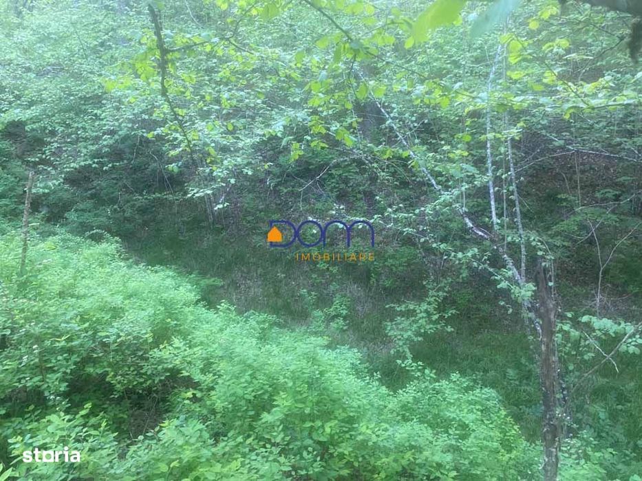 De vanzare teren intravilan 4235 mp Poiana Marului
